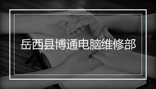 岳西县博通电脑维修部