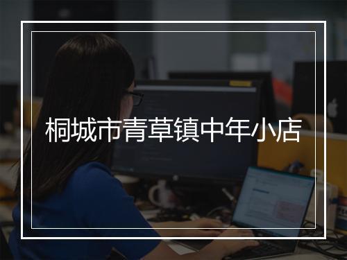 桐城市青草镇中年小店