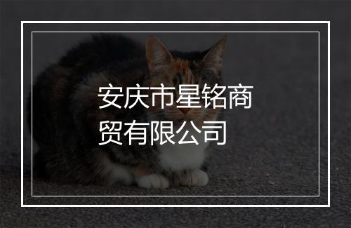 安庆市星铭商贸有限公司