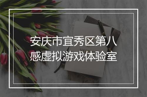 安庆市宜秀区第八感虚拟游戏体验室