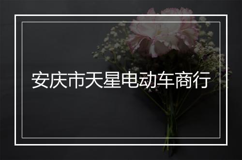 安庆市天星电动车商行