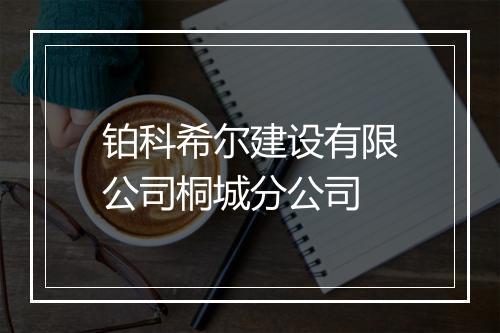 铂科希尔建设有限公司桐城分公司