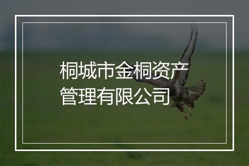 桐城市金桐资产管理有限公司