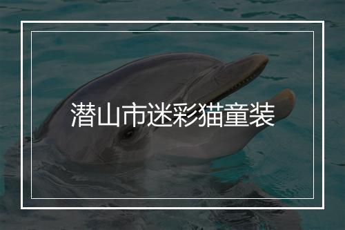 潜山市迷彩猫童装