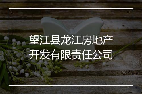 望江县龙江房地产开发有限责任公司
