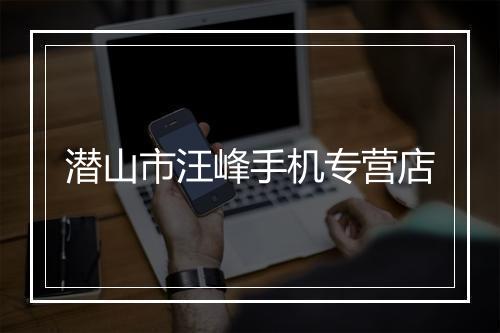 潜山市汪峰手机专营店