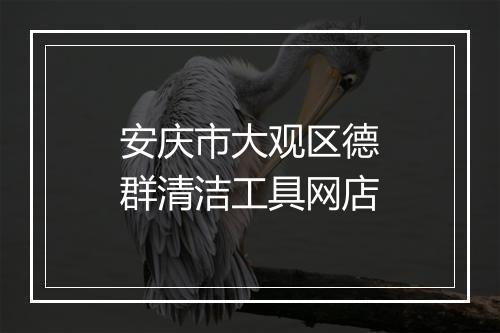 安庆市大观区德群清洁工具网店