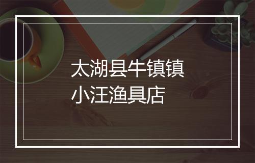 太湖县牛镇镇小汪渔具店