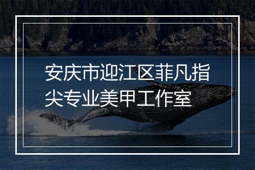 安庆市迎江区菲凡指尖专业美甲工作室