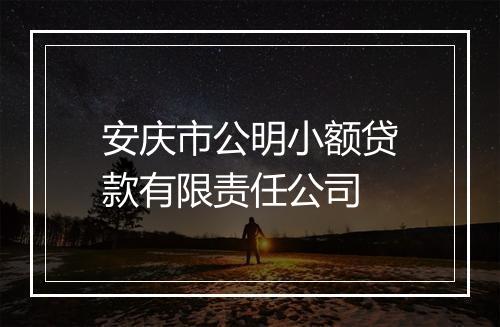 安庆市公明小额贷款有限责任公司