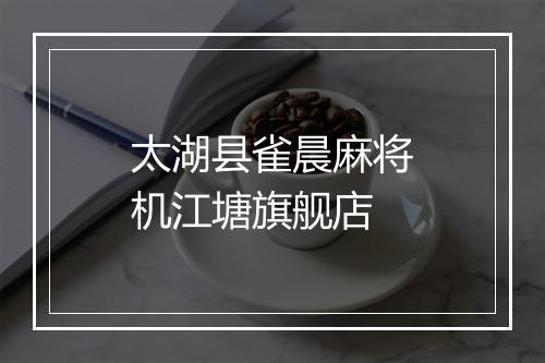 太湖县雀晨麻将机江塘旗舰店