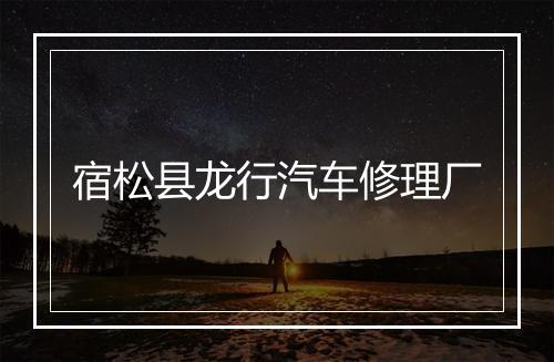 宿松县龙行汽车修理厂