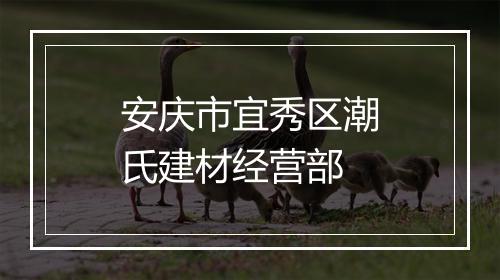 安庆市宜秀区潮氏建材经营部