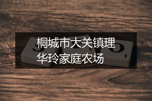 桐城市大关镇理华玲家庭农场
