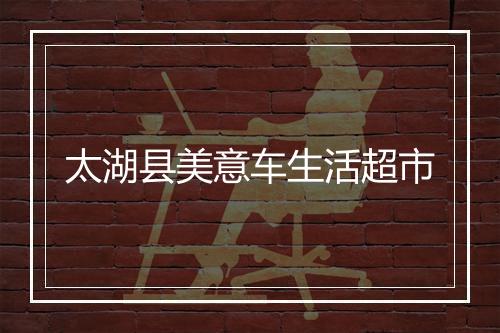 太湖县美意车生活超市