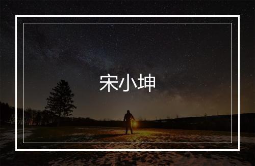 宋小坤