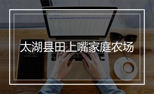 太湖县田上嘴家庭农场