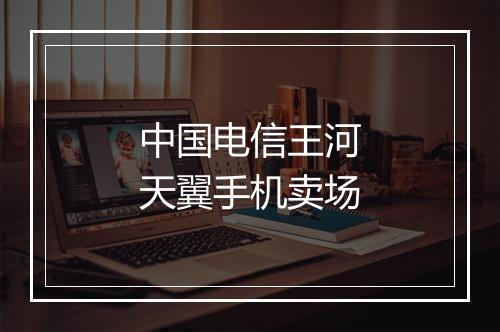 中国电信王河天翼手机卖场