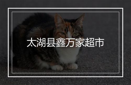 太湖县鑫万家超市