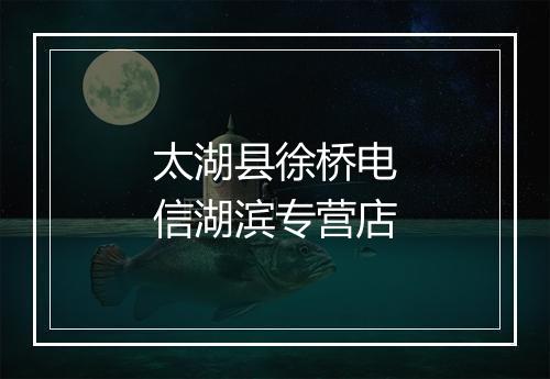 太湖县徐桥电信湖滨专营店