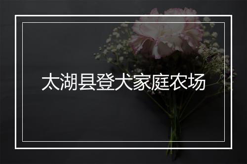 太湖县登犬家庭农场