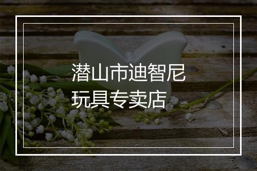 潜山市迪智尼玩具专卖店