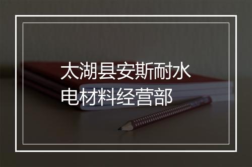 太湖县安斯耐水电材料经营部