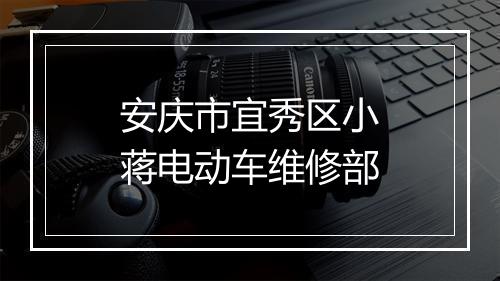 安庆市宜秀区小蒋电动车维修部