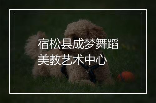 宿松县成梦舞蹈美教艺术中心