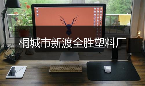 桐城市新渡全胜塑料厂