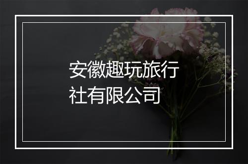 安徽趣玩旅行社有限公司