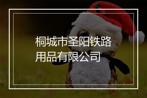 桐城市圣阳铁路用品有限公司