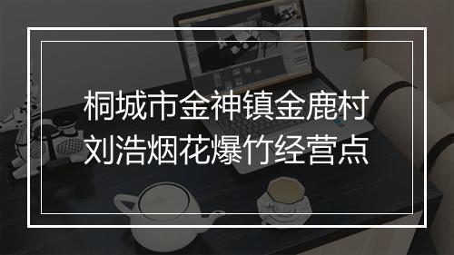 桐城市金神镇金鹿村刘浩烟花爆竹经营点