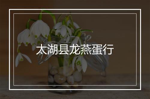 太湖县龙燕蛋行
