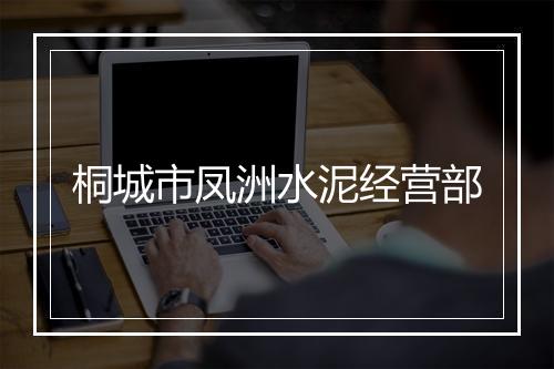 桐城市凤洲水泥经营部