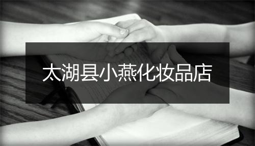 太湖县小燕化妆品店