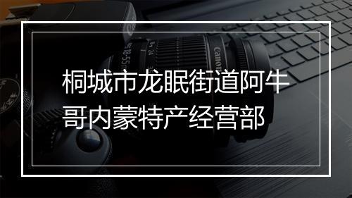 桐城市龙眠街道阿牛哥内蒙特产经营部