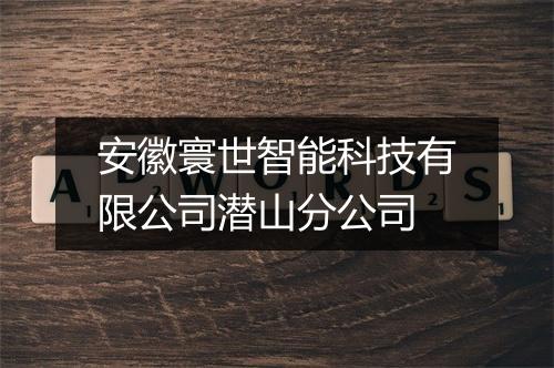 安徽寰世智能科技有限公司潜山分公司