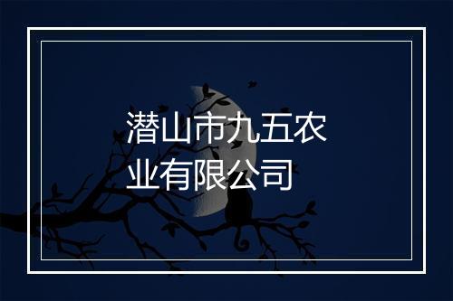 潜山市九五农业有限公司