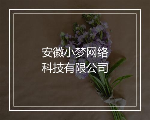 安徽小梦网络科技有限公司