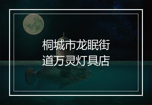 桐城市龙眠街道万灵灯具店