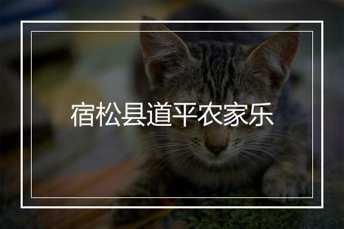 宿松县道平农家乐