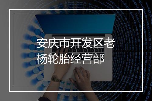 安庆市开发区老杨轮胎经营部