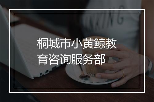 桐城市小黄鲸教育咨询服务部