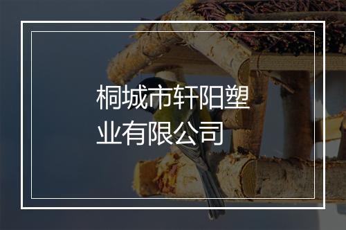 桐城市轩阳塑业有限公司