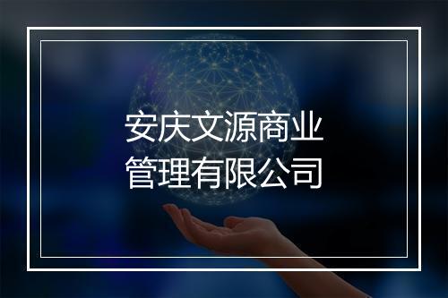 安庆文源商业管理有限公司