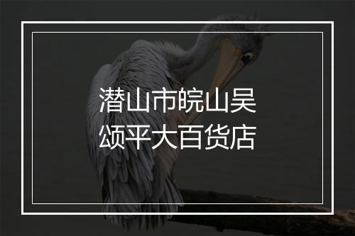 潜山市皖山吴颂平大百货店