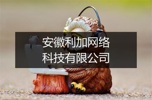 安徽利加网络科技有限公司