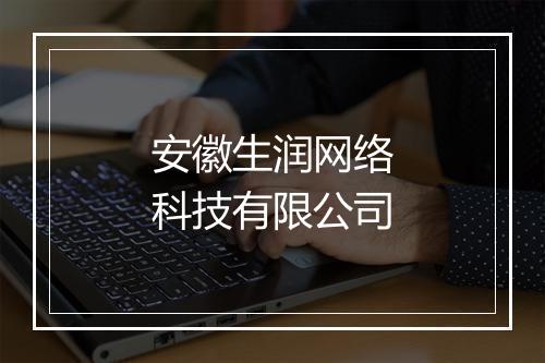 安徽生润网络科技有限公司