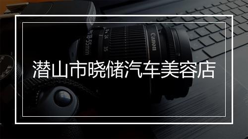 潜山市晓储汽车美容店
